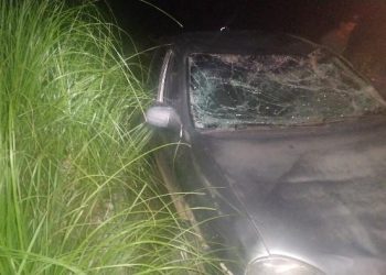 Veículo com placas de Correia Pinto se envolve em acidente com animal