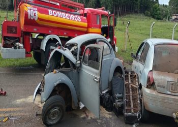 Irmãos morrem em acidente na SC 390 neste domingo