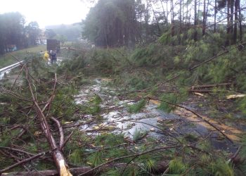 Motoristas escapam de uma tragédia na Br 116 em Capão Alto durante um  temporal