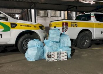 Mais de 200 pacotes de cigarros são apreendidos em Campo Belo do Sul