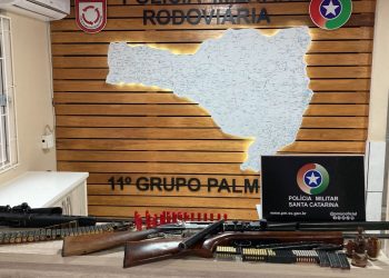 PMRV apreende armas de fogo e munições em Palmeira.  Confira os vídeos