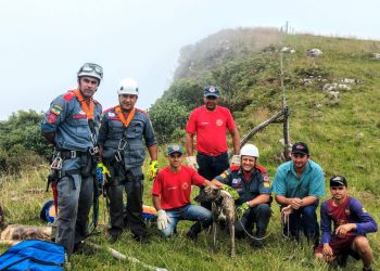 Bombeiros resgatam animal que sofreu queda de 90 metros. Acompanhe o vídeo