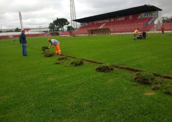 Substituição no Tio Vida: Grama nova. Veja vídeo para entender como está sendo substituído