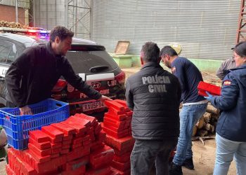 Em menos de 24 horas da apreensão Policia Civil incinera 600 Kg de maconha