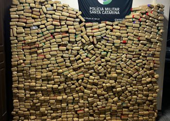 Polícia Militar  apreende 783 kg de maconha durante a madrugada